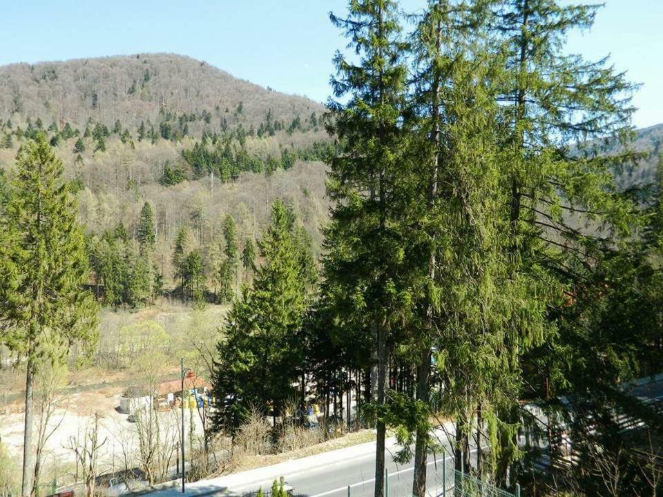 Casa Cristian Villa Sinaia Exteriör bild